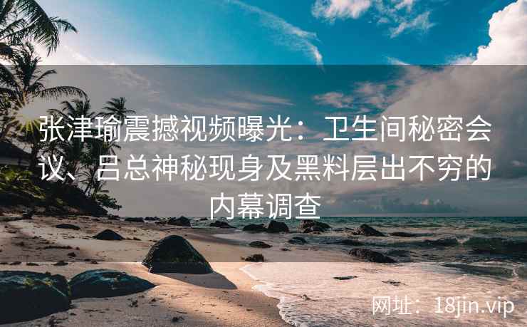 张津瑜震撼视频曝光：卫生间秘密会议、吕总神秘现身及黑料层出不穷的内幕调查