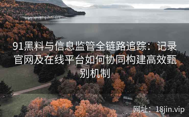 91黑料与信息监管全链路追踪：记录官网及在线平台如何协同构建高效甄别机制