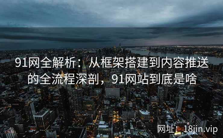 91网全解析：从框架搭建到内容推送的全流程深剖，91网站到底是啥